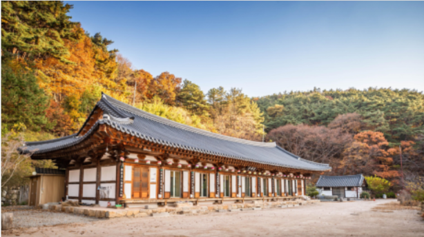 프로필사진-동화사.png 이미지