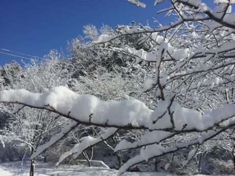 20121206_104014.png 이미지