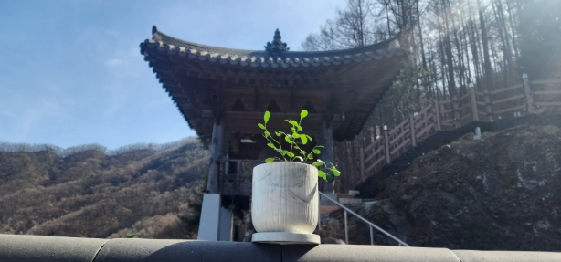 KakaoTalk_20260223_140309290_02.jpg 이미지